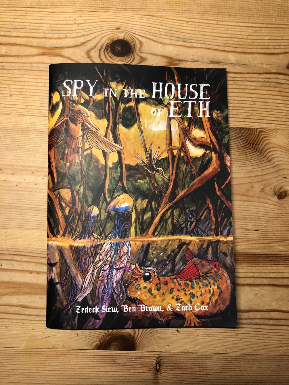 Best Left Buried: Spy in the House of Eth